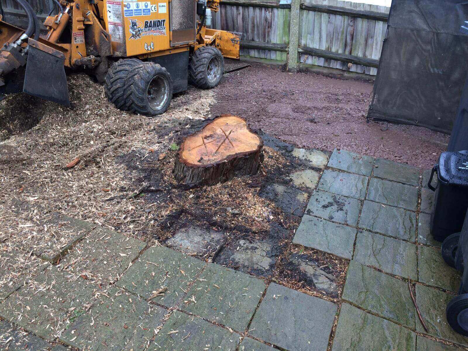 Tree Surgeons Bickley BR1