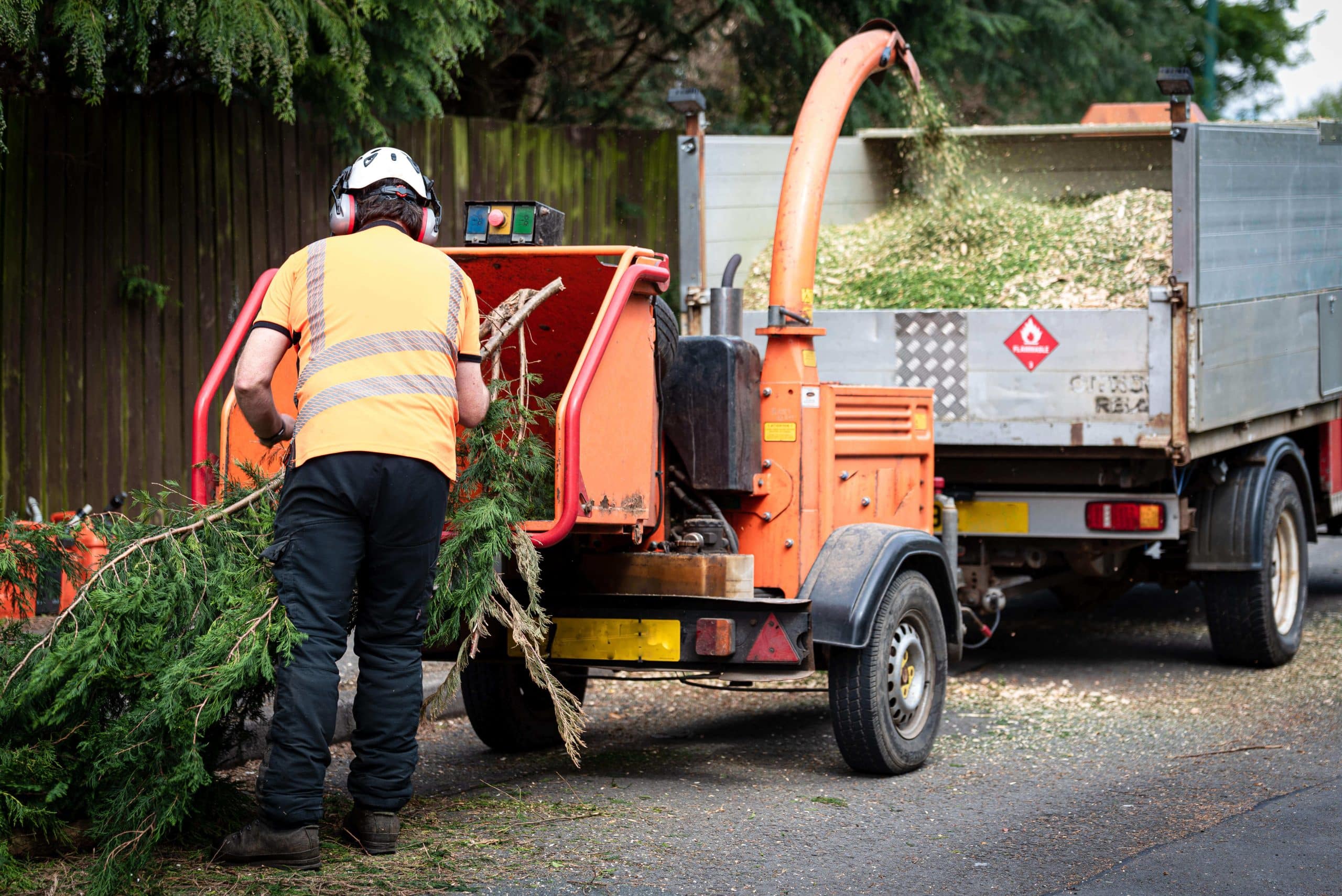Tree Stump Grinding/Removal Bickley BR1